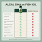 Veg Maxx™ Algal DHA (Vegetarian Omega-3) – 1000mg | Pure Brain & Heart Fuel