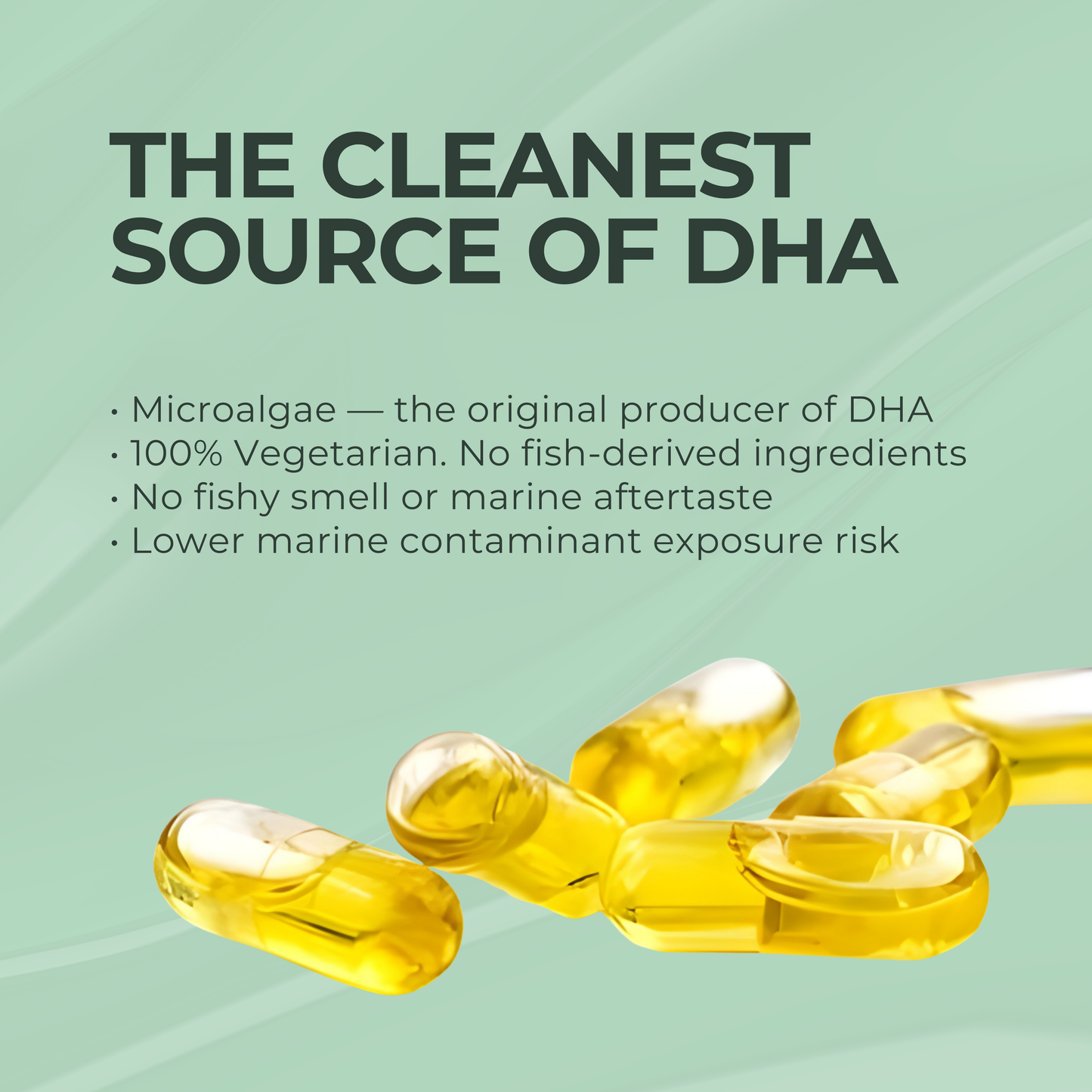 Veg Maxx™ Algal DHA (Vegetarian Omega-3) – 1000mg | Pure Brain & Heart Fuel