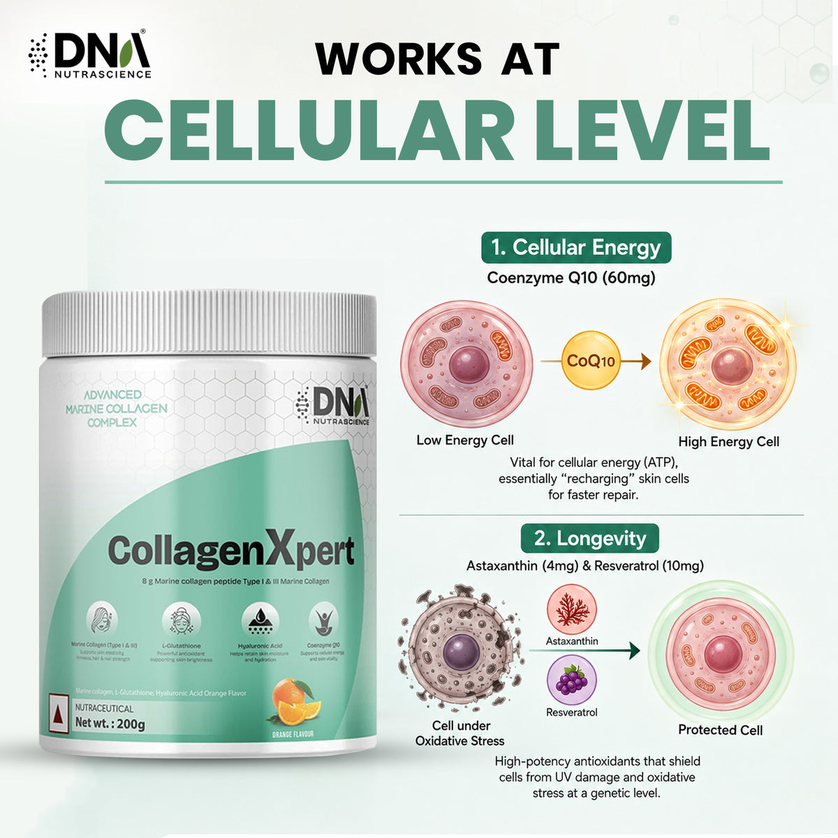 CollagenXpert™ Advanced Marine Complex – 8g Collagen + Glutathione & HA | Orange Flavor